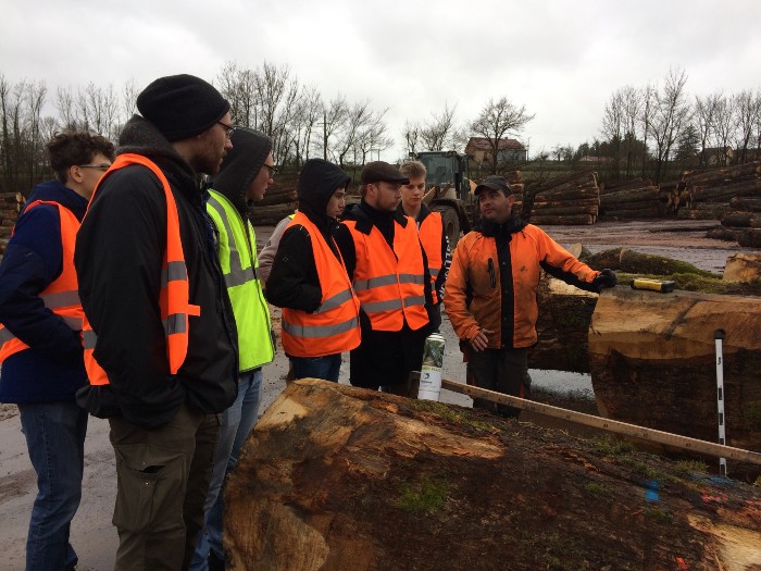 The Compagnons du Devoir choose Ducerf to discover the world of the sawmill