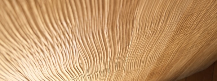 Textured cladding for interior design