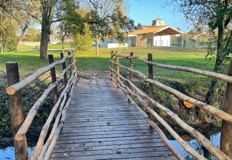 Oak walkways in a nature reserve