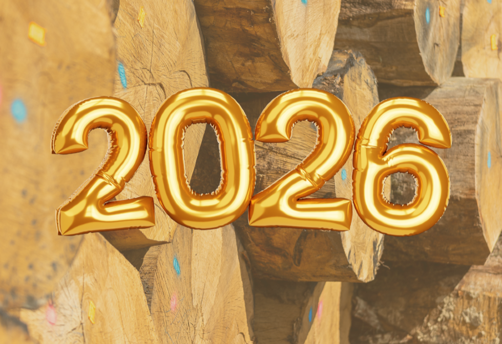 Winter holidays 2025