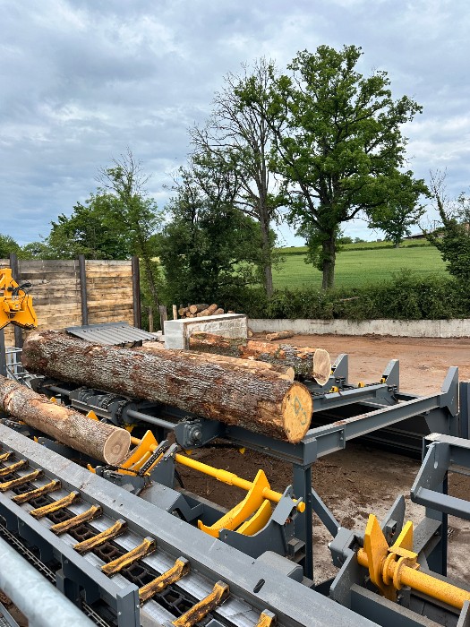 2025 Review – 2026 Ambitions & Outlook of the Ducerf Group