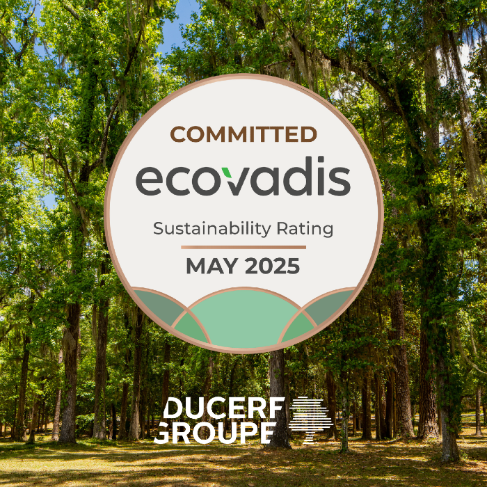 2025 Review – 2026 Ambitions & Outlook of the Ducerf Group