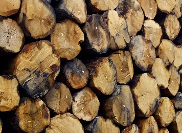 Logs