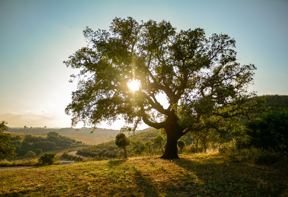 Summer holidays 2023