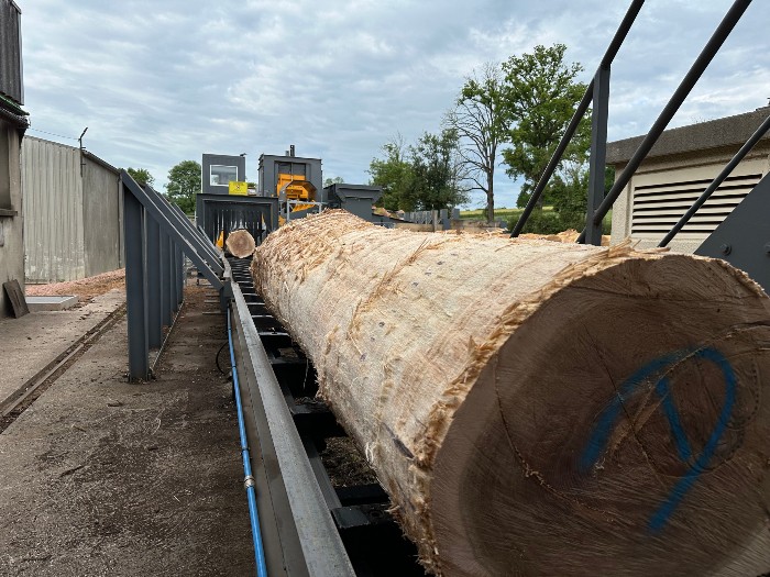 A New Automated Debarking Line to Accelerate the Modernization of Ducerf Sawmill — A New Milestone!