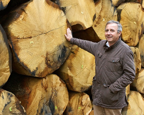 French oak logs
