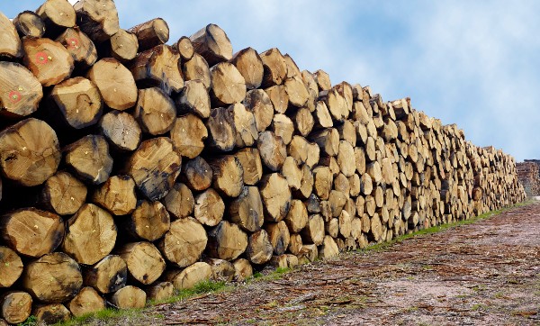 Logs