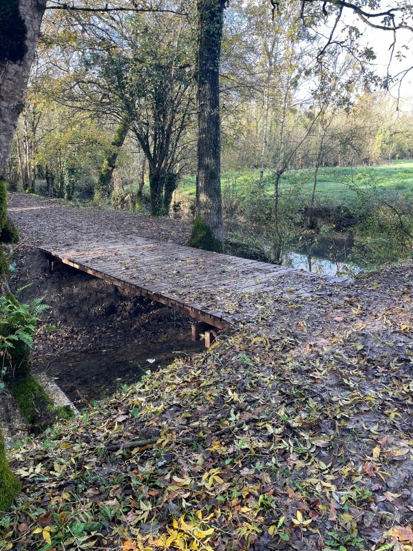 Oak walkways in a nature reserve