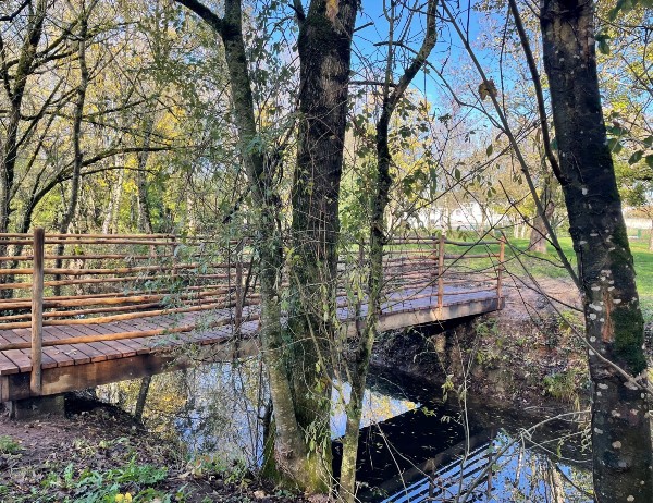 Oak walkways in a nature reserve