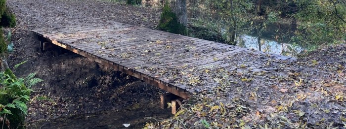 Oak walkways in a nature reserve