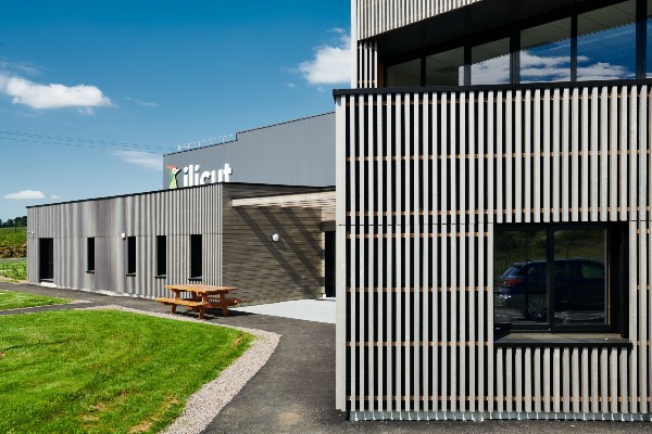 Ilicut head office