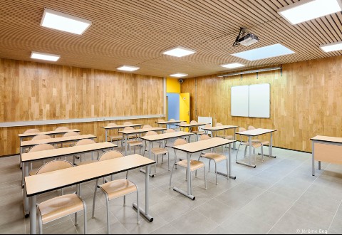 Oak CLT Panels