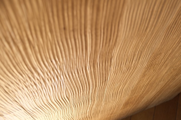 Decorative wood panels for walls : Bard 107 Texture