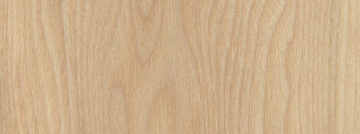 Ash wood
